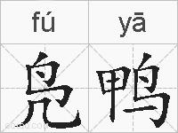 凫鸭的拼音
