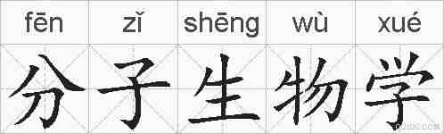 分子生物学的拼音