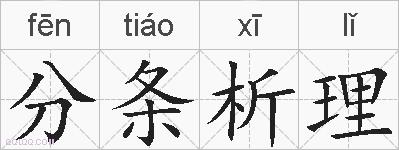 分条析理的拼音