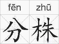 分株的拼音