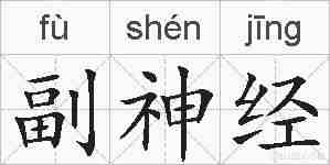副神经的拼音