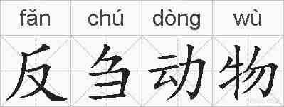 反刍动物的拼音