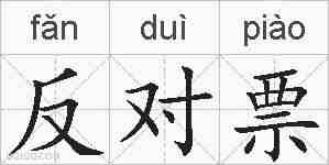 反对票的拼音