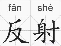 反射的拼音