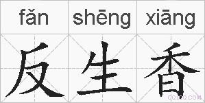 反生香的拼音