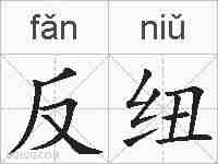 反纽的拼音