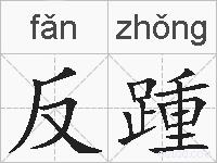 反踵的拼音