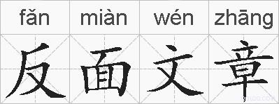 反面文章的拼音