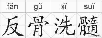 反骨洗髓的拼音