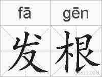 发根的拼音
