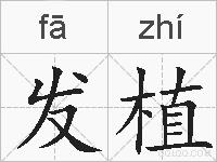 发植的拼音