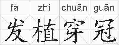 发植穿冠的拼音