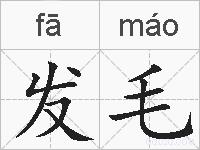 发毛的拼音