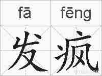 发疯的拼音