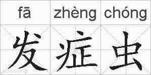 发症虫的拼音