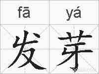 发芽的拼音
