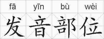 发音部位的拼音