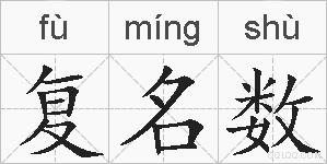 复名数的拼音