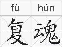 复魂的拼音