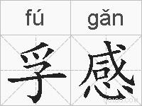 孚感的拼音
