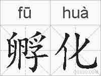 孵化的拼音