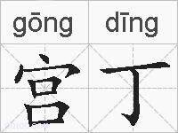 宫丁的拼音