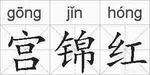宫锦红的拼音