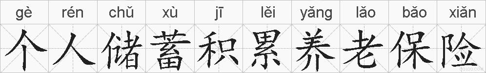 个人储蓄积累养老保险的拼音