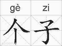 个子的拼音
