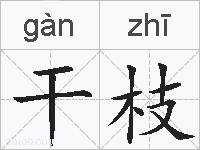 干枝的拼音