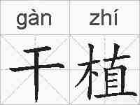 干植的拼音