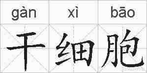 干细胞的拼音