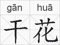 干花的拼音