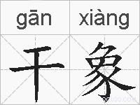 干象的拼音