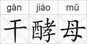 干酵母的拼音