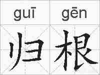 归根的拼音
