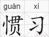 惯习的拼音