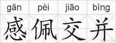 感佩交并的拼音