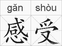 感受的拼音