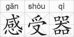 感受器的拼音