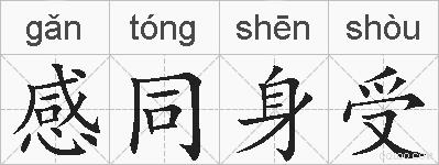 感同身受的拼音