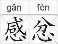 感忿的拼音