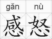 感怒的拼音