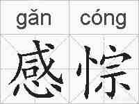 感悰的拼音