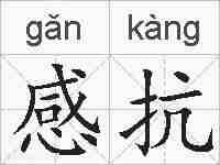 感抗的拼音