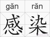 感染的拼音