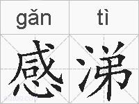 感涕的拼音