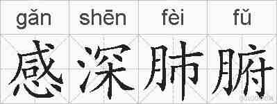 感深肺腑的拼音