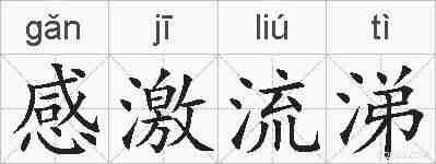 感激流涕的拼音