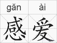 感爱的拼音